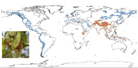World Map Mountains Labeled