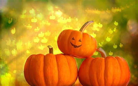 Pumpkin Desktop Wallpapers - Top Free Pumpkin Desktop Backgrounds ...