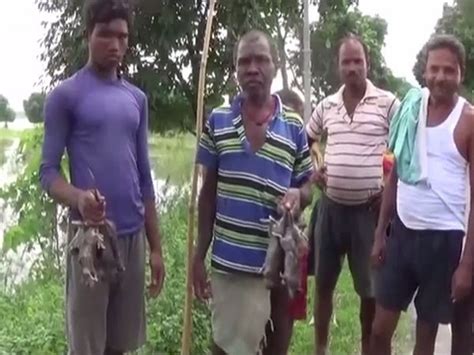 Have to eat rats to survive, claim locals in flood-affected Bihar village