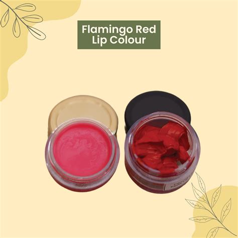 Buy Flamingo Red Paste Lip Colour | Lip & Cheek Tint | DIY Lip Gloss