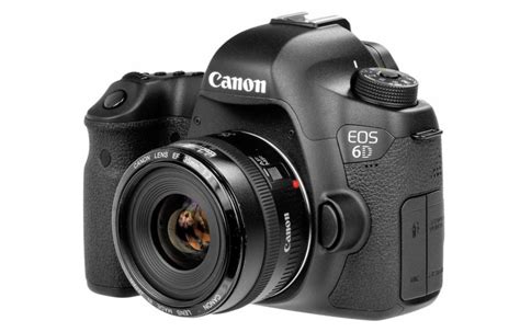 Photogrammetry Camera 的图像结果