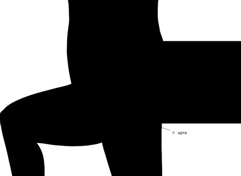 Image result for How Does a Condom Work