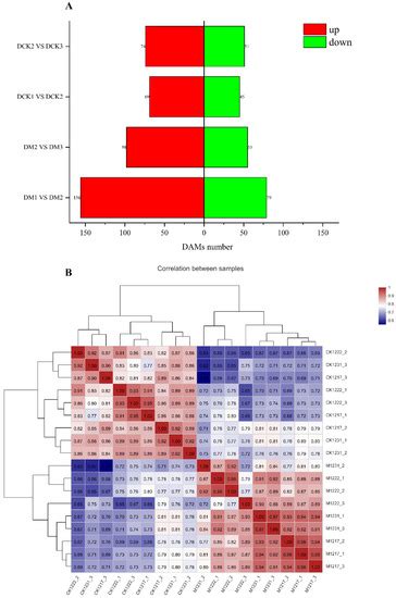 The Integration of Metabolomics and Transcriptomics Provides New ...