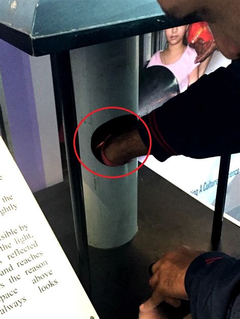 7 Student Projects From IIT-Delhi's India International Science Fair ...