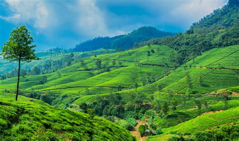 Sri Lanka Tour Package | Travel Seasons
