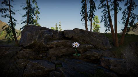 Image result for Flower Evolution Simulator