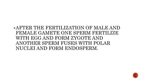 Seed Development 的图像结果