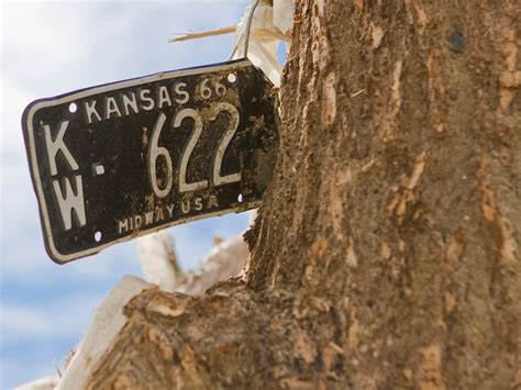 Article Usage Examples 的图像结果