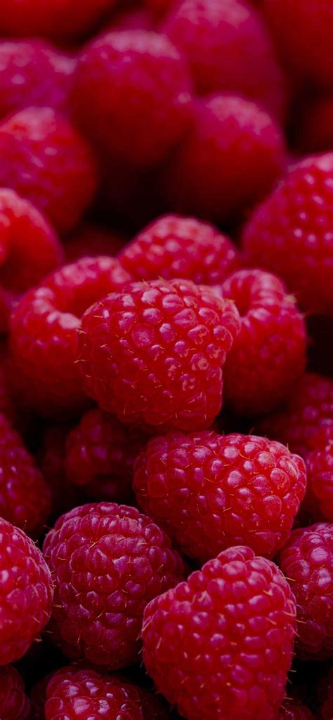 Image result for Raspberry Color Background HD