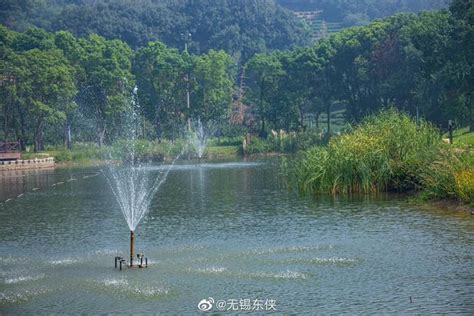 清澈见底的湖水_1920X1080_高清视频素材下载(编号:9399127)_实拍视频_光厂(VJ师网) www.vjshi.com