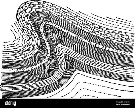 An overthrust anticline of a strata fold, a reverse fault, the rocks on the upper surface of a ...