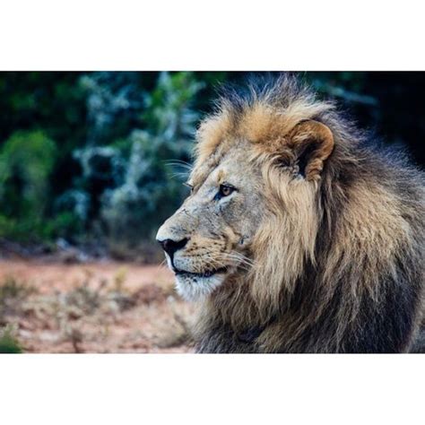 RIVER BEND LODGE (Addo Elephant National Park) - Lodge Reviews, Photos ...