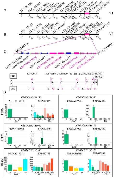 Molecular Mapping of Putative Genomic Regions Controlling Fruit and ...