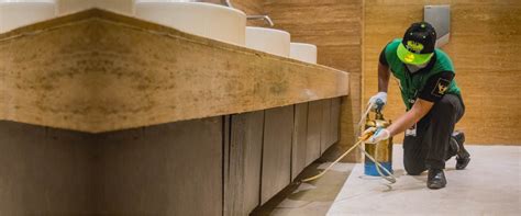 Spider - Pest Control