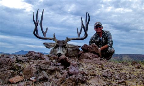 Desert Mule Deer Hunting