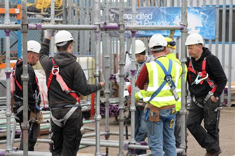 Parallel Training 的图像结果