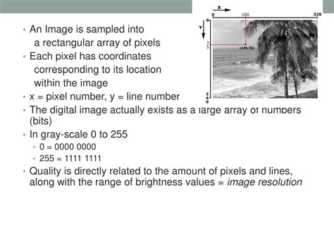 Digital Image Example 的图像结果