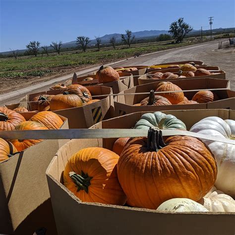 JUSTICE BROTHERS U-PICK (2025) All You Need to Know BEFORE You Go (with ...