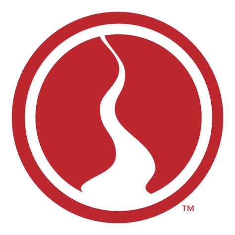 Image result for ICS Logo