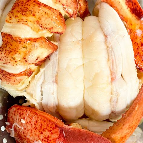 Fresh Maine Lobster Meat • Harbor Fish Market