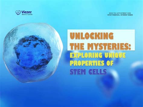 Unlock Mysteries: Exploring Unique Properties Of Stem Cells