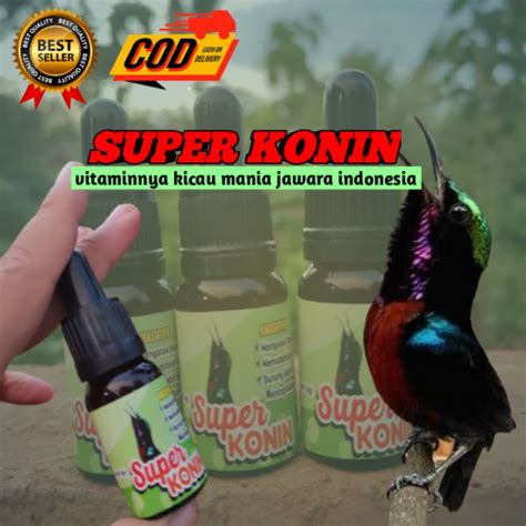 Merawat Konin agar Tidak Ngeruji dan Stres - Featured Image