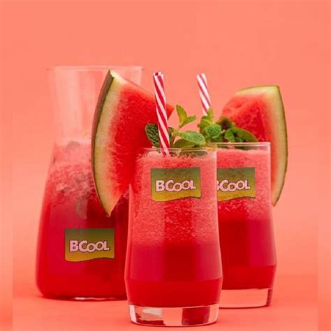Red Watermelon Instant Drink Mix Powder Manufacturer, Supplier from Surat