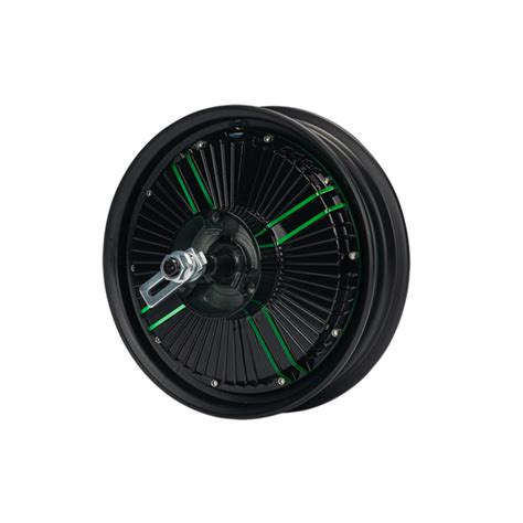 Buy E Bike Hub Motor at the Best Price Online in India | LionEV.in ...