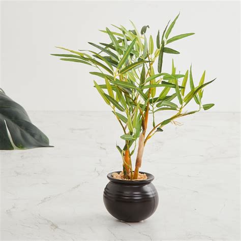 Buy Fiesta Green Artificial Potted Plant from Home Centre at just INR ...