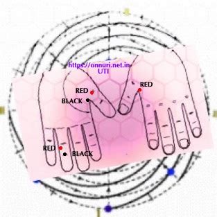 COLORPUNCTURE for UTI – ONNURI