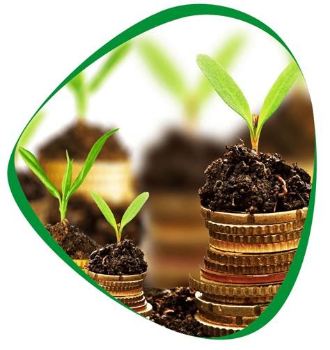 The Varachha Co-Op Bank Ltd., Surat