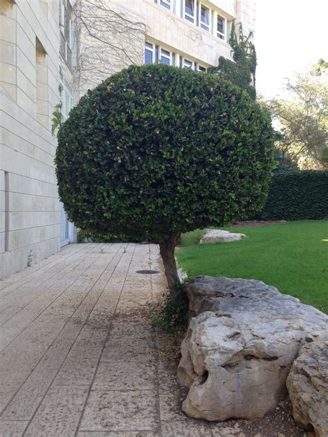 The Hebrew University of Jerusalem Office Photos | Glassdoor
