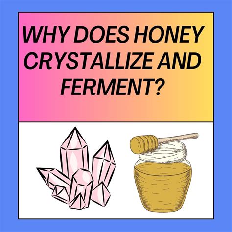 Why Does Honey Crystallize And Ferment? How To Decrystallize It