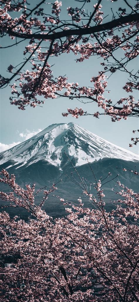Japan Aesthetic Wallpaper 的图像结果