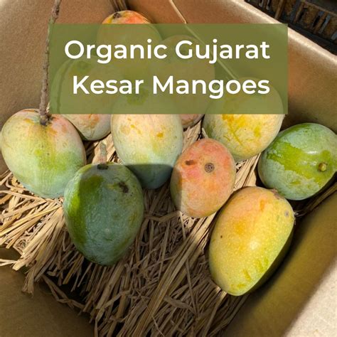 Kesar Mangoes | Gujarat Variety – Monks Bouffe