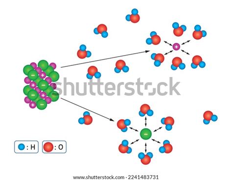 Image result for Dissolution Process of NaCl Steps