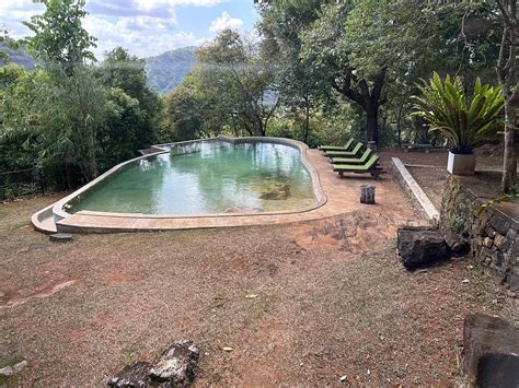 BIRDS PARK - POLGAHAWELA (Wadawa) - Specialty Inn Reviews, Photos, Rate ...