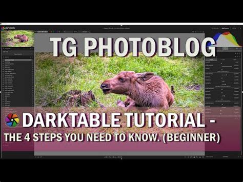 Darktable Retoque Tutorial 的图像结果