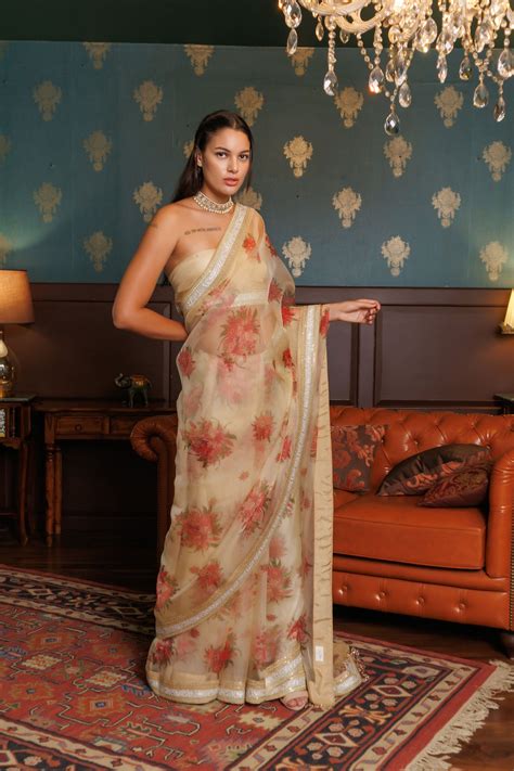 Pastel Sheers (Printed) Floral Organza saree – Mohi fashion