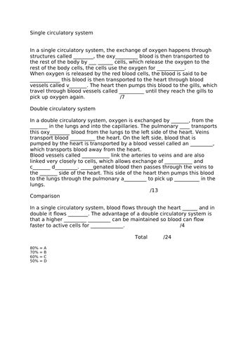 Circulation Class 12 的图像结果