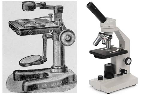 Image result for Simple Microscope and Compound
