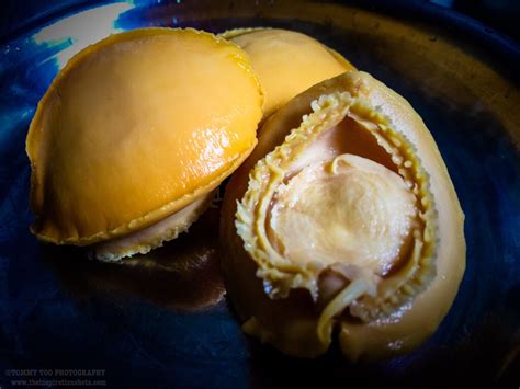 Image result for Marine Shells