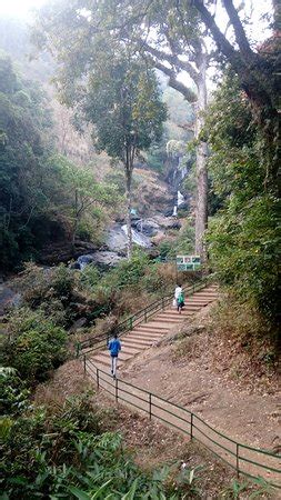 Iruppu Falls (Coorg) - What to Know Before You Go (with Photos ...