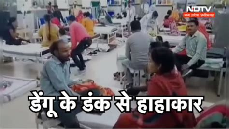 MP में डेंगू के डंक के बाद हरकत में आई सरकार, इतने हजार से ज्यादा मामले ...