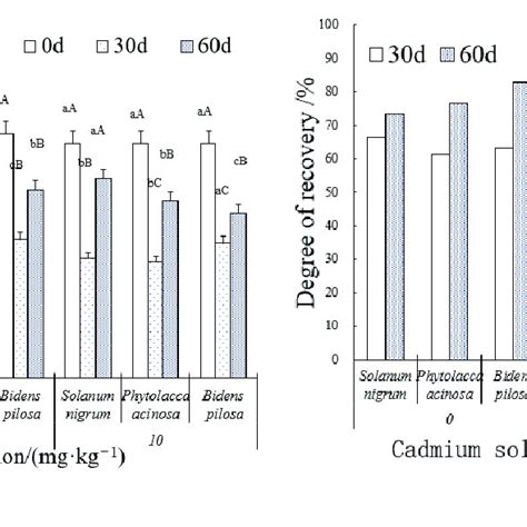 Image result for Urease