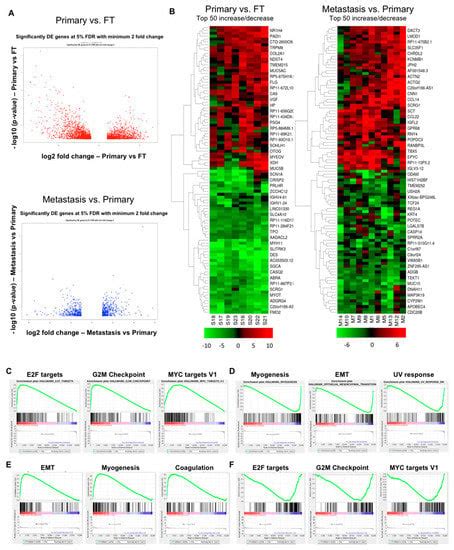 Transcriptome Profiling Reveals Matrisome Alteration as a Key Feature ...