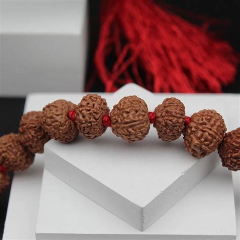 Certified 9 Mukhi 108 Beads Rudraksha Mala – Dharmsaar