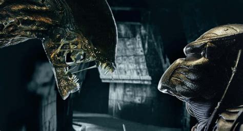 Image result for Alien vs Predator Face Off