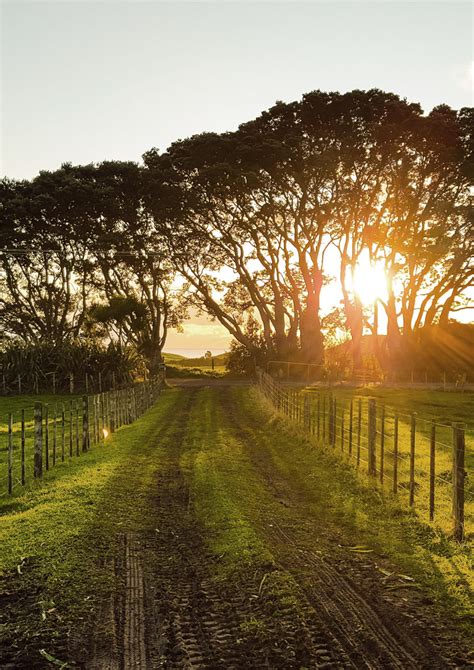 Sonnenburg Family Funeral Home | Tomah, WI Funeral Home