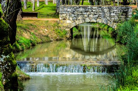 THE BEST Entroncamento Gardens (2026) - with Reviews